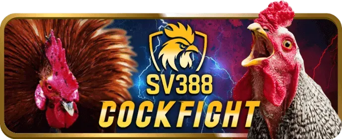 Ưu đãi đăng ký và tiền thưởng 90k W88